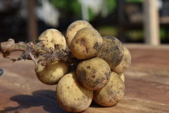 delicious thai fruit longkong on wooden table outdoors