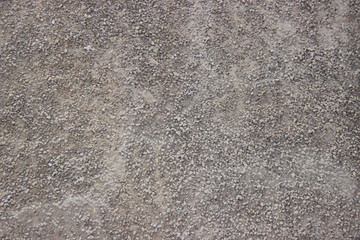 Texture of plaster under a fur coat