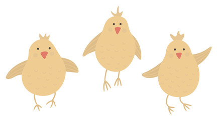 Vector funny chicks isolated on white background. Spring, Easter or farm funny illustration. Cute bird icon.