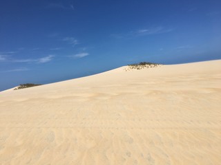 sand dunes in the desert