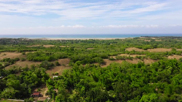 Beautiful landscape with trees and sea in the distance, aerial view. Sand Dunes of Paoay, Ilocos norte, Philippines. Summer and travel vacation concept.