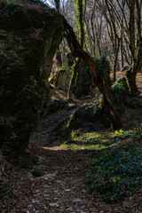 Fototapeta premium Birtvisi canyon in Georgia