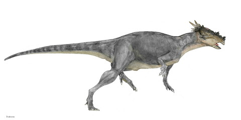 Obraz na płótnie Canvas ドラコレックス　恐竜　堅頭科目　パキケファロサウルス科　北米大陸の白亜紀後期の地層から発見されており、パキケファロサウルスの仲間であるが、分厚いドーム型の頭部にはなっていない。禍々しい硬い棘がレックス「竜王」の名を象徴している。全長は3メートル程度。パキケファロサウルスと生息域が重なっており、頭骨の外形も似ているところから、パキケファロサウルスの成長過程の個体であるとする説もある。