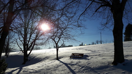 Bank im Schnee
