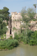 Fototapeta na wymiar water mill in Andalusia