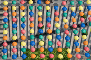 Colorful umbrellas background. Multicolored umbrellas hanging above the street. 