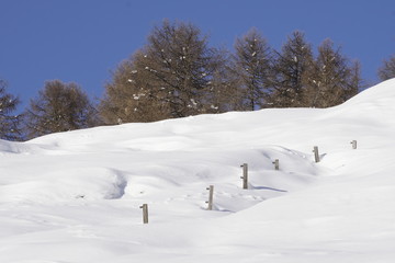 Zaun im Schnee