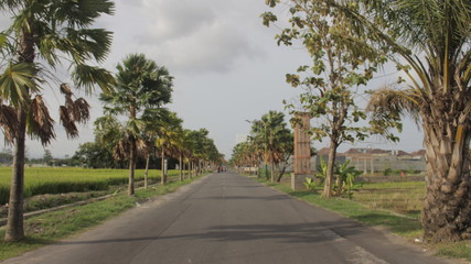 road in the park
