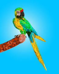 vector of beautiful parrot bird sitting on wood
