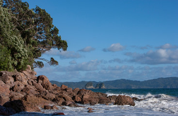 Cormandel new Zealand. Hahei. Coast Cathedral Cove