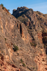 Tagus of Escariantes in the area of ​​Ugijar