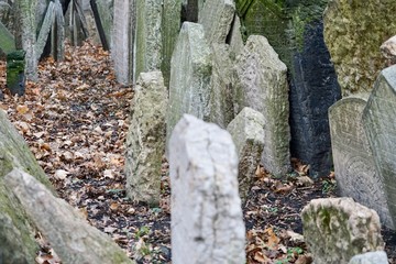 Ausschnitt des Alten Jüdischen Friedhofs von Prag