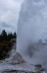 Geiser. Rotorua New Zealand Thermal Park. Wai-o-tapu. Thermal wonderland. Volcanism.