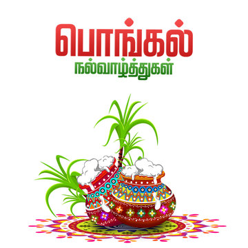 illustration of Happy Pongal greeting card background. happy pongal translate Tamil text.