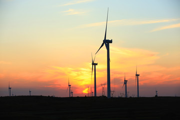 Obraz premium Wind turbines in the evening
