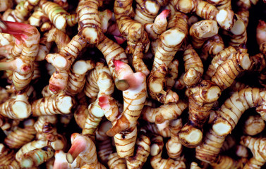 galangal on a bangkok market Langue des mots-clés : English