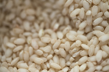 Close up seeds short  rice.