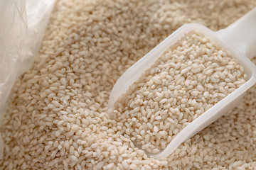seeds Short  rice with spoon on rice background,Close up.