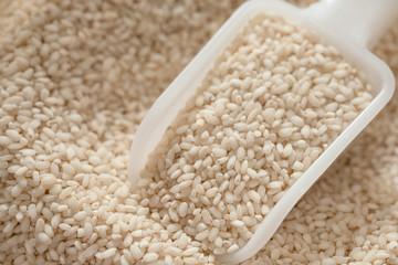 seeds Short  rice with spoon on rice background,Close up.