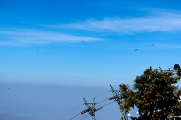 Blue sky with cloud. Clearing day and Good weather in the morning.