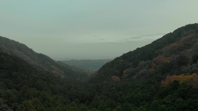 山間の木々の上を進むドローン空撮