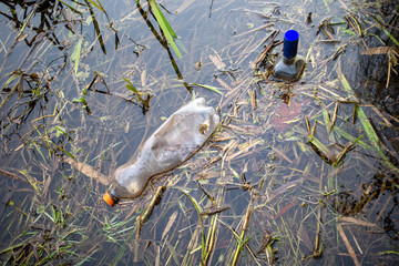 carelessly discarded plastic bottles and glass liquor bottles float in a lake