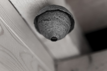 monochrome gray tinted design beehive foundation design fight against dangerous insects