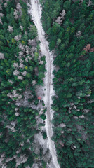 Aerial view of snowy winter forest with a road