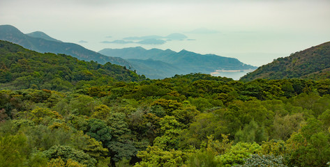 landscape with mountains and clouds.  green hills and view of the foggy sea. sea ​​in the fog. foggy hills. soft green hills. fog