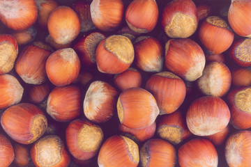 brown hazelnut closeup of nuts whole unpeeled pattern background