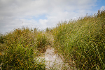 Fototapeta premium Beach in Lochaber, Scottish Highlands