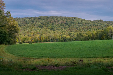 Fototapeta na wymiar Early Fall In Vermont