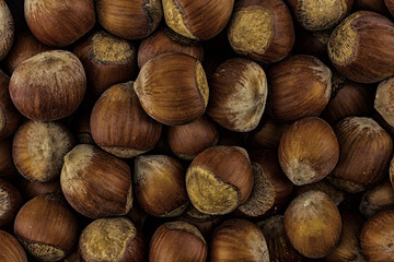 brown crop pattern hazelnut closeup background base culinary substrate