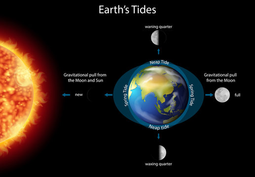 Diagram showing earth tides with earth and sun