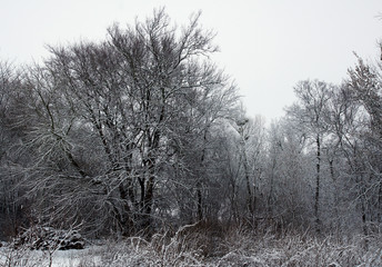 Winter countryside landscape photo