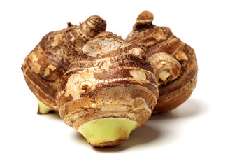 Taro on a white background
