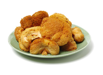 hericium erinaceus on white background