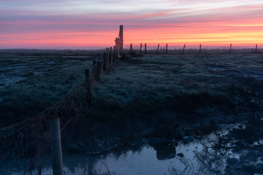 Tanis 이미지 찾아보기 100 스톡 사진, 벡터 및 비디오 Adobe Stock