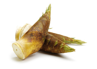 Fototapeta premium Bamboo shoot on the white background 