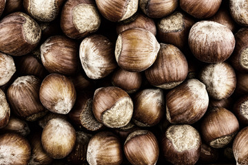 background hazelnut brown closeup pattern unpeeled shabby much harvest