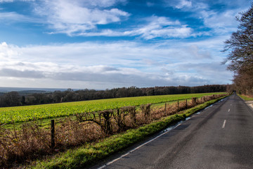 West Sussex England countryside on a clear and sunny December day. Looking from Selhurstpark Road toward Chichester and the south coast.
