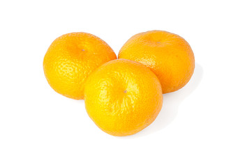 Three mandarins in peel on an isolated white background. Three ripe tangerines
