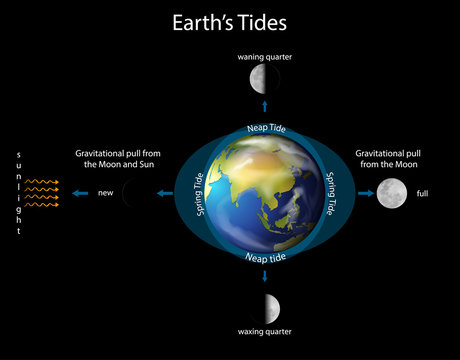 Diagram showing earth tides with earth and moon