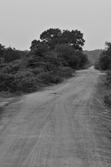road in a rural village
