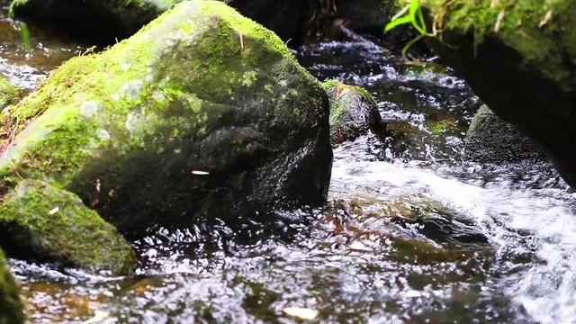 Rochas e rio de &aacute;guas limpas