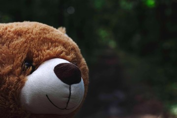 teddy bear nose