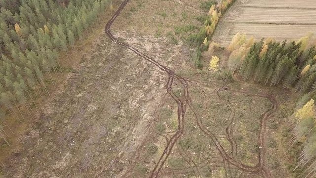Forest machine trails at forest clearcutting area in Finland.