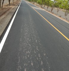 Country road past rice field garden, simple life is Thai people culture.