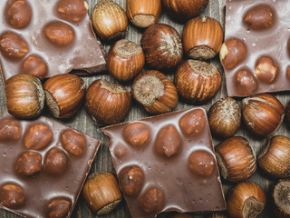 Close up of hazelnut chocolate