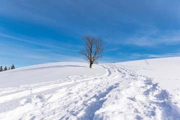 Winter hiking trial in winter wonderland bright sky and mountains